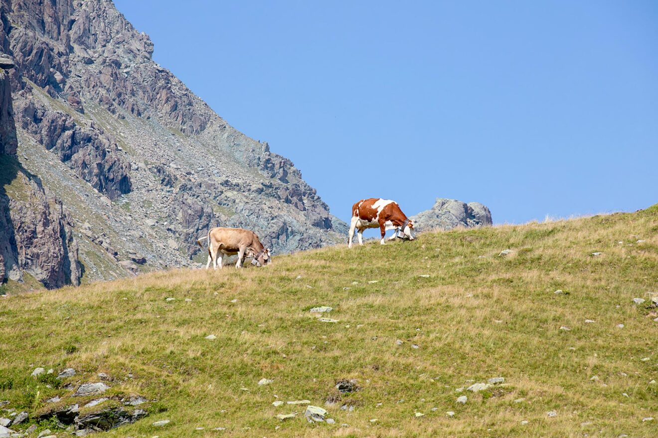 La Via Del Latte Visit Lanzada Vorrei La Vedessi Come Noi Ogni Giorno